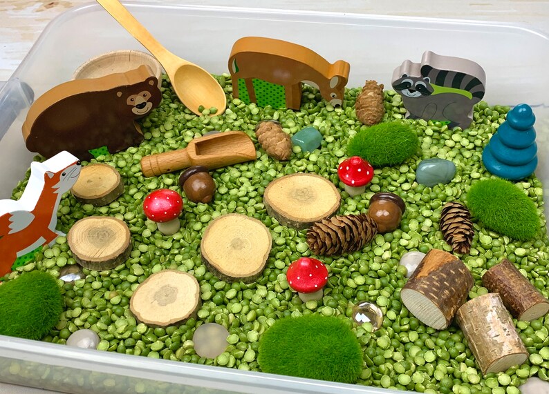 Woodland Animals Sensory Bin Etsy