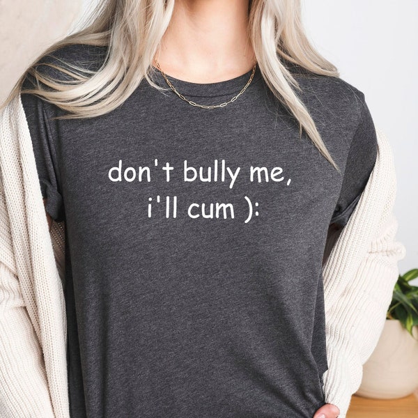 Dont Bully Me Sweat, Funny Shirt, Funny Sarcastic Sweat, Unisex Don’t Bully Me Sweatshirt, Sarcastic Sweat, Unisex Bullying, Emo Clothing