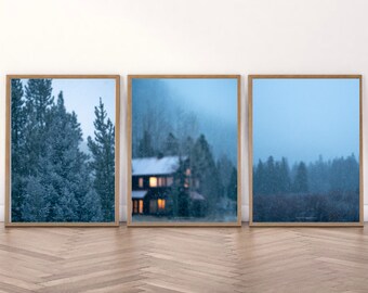 May include: A set of three framed prints depicting a snowy winter scene with a house in the distance. The prints are in a light wood frame and have a blue and white color scheme.