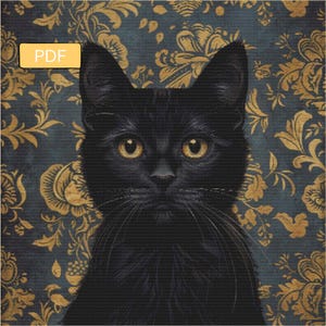 May include: A black cat with yellow eyes stares directly at the camera. The cat is in front of a dark blue background with a gold floral pattern.