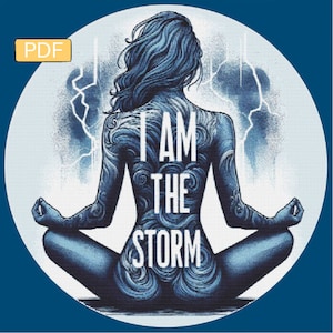 Könnte beinhalten: Eine blaue und weiße Illustration einer Person, die in meditativer Pose sitzt, mit den Worten "I AM THE STORM" auf ihrem Rücken.