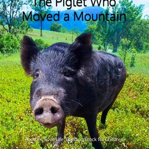 Set of 6 Children's Books (Animal Tales Series)