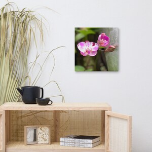 Orchidee Leinwand