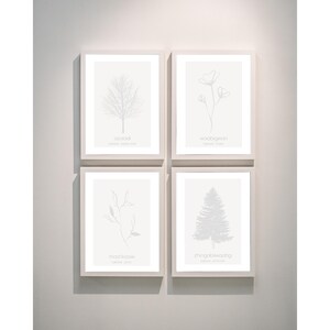 Minimalist Ojibwe Plants and Trees Art Print Set of 4 - Digital Download