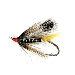 Black Rat