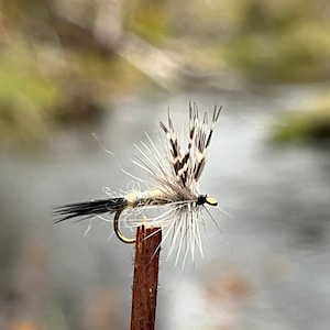May include: A close-up of a fly fishing lure with a black and white feather pattern and a gold hook. The lure is mounted on a brown stick.
