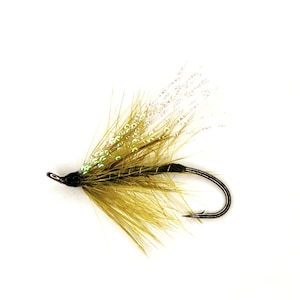May include: A brown and green fly fishing lure with a white and iridescent tail.