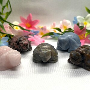 May include: Five small turtle figurines carved from different types of stone. The turtles are in various colors, including pink, gray, blue, brown, and black.