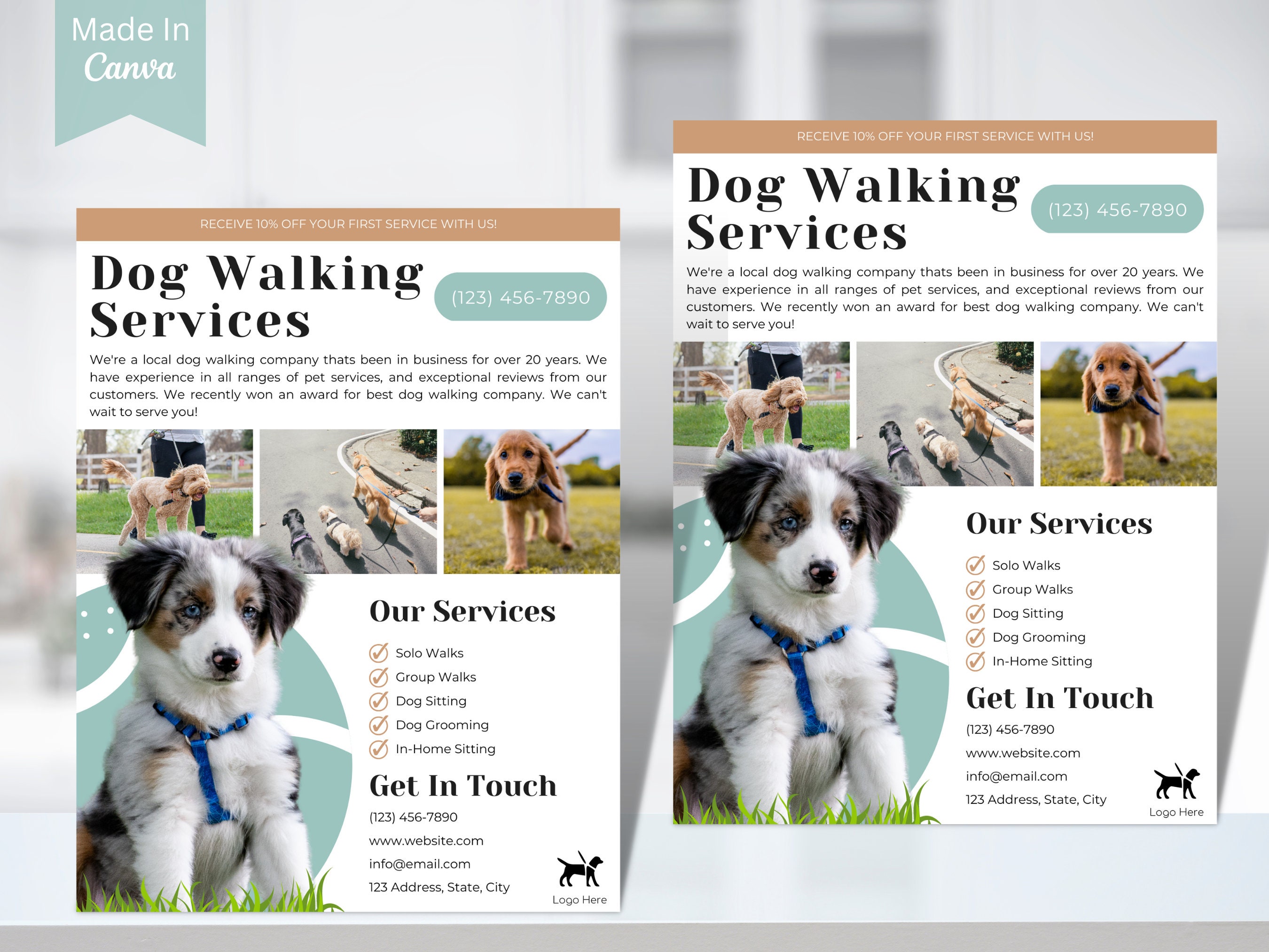 Dog Walking Dog Cares Near Me Pet Sitting Dog Walking Group Near