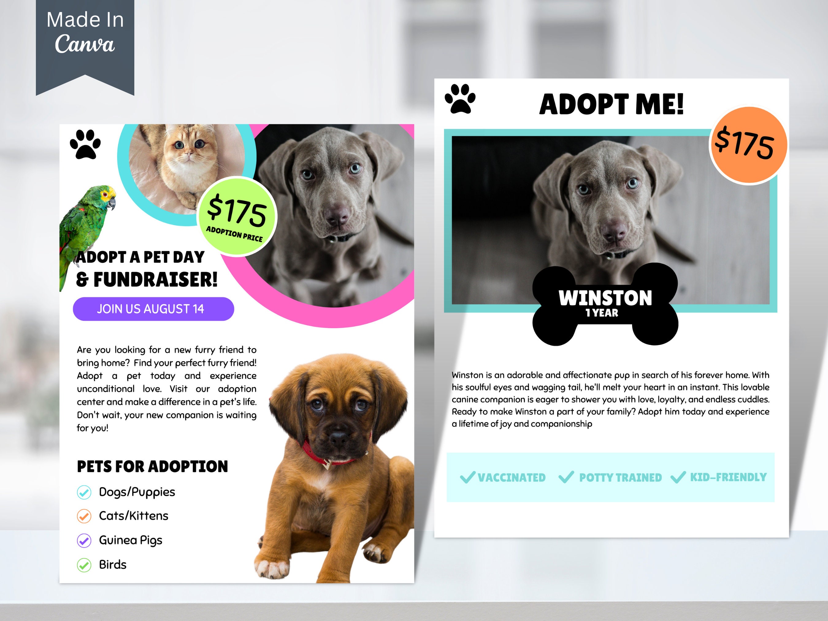 Social Media Poster Design With Pet Adoption Promotion Adopt Me Banner With  Cute Dogs Funny Cats Paw Print Patterns Vector Cartoon Template For Flyer  Design Web Page Posters Stock Illustration - Download