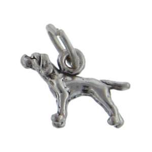 Può includere: Un piccolo ciondolo a forma di cane color argento con un anello per attaccarlo a una collana o un braccialetto. Il ciondolo è una rappresentazione dettagliata di un cane, con zampe, coda e testa visibili. Il cane è in piedi.