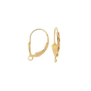 May include: A pair of gold-tone earring hooks with a spring-loaded clasp.