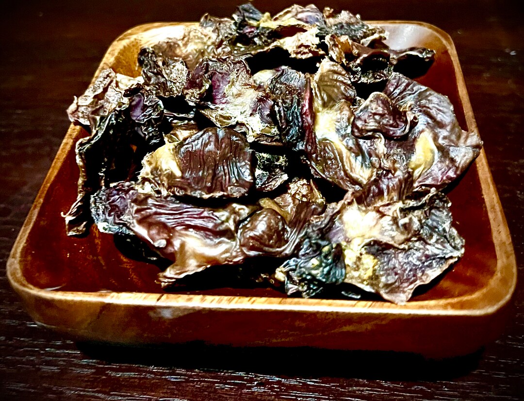 Dehydrated Chicken Gizzards Dog Treats 100 Natural Chicken GIZZARDS 1