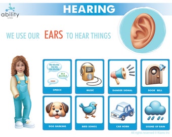 May include: Educational poster about hearing, featuring a child and illustrations of sounds. The poster includes the text "HEARING" and "WE USE OUR EARS TO HEAR THINGS." Illustrations include speech bubbles, music, a megaphone, a door, a dog, a bird, a car, and rain.