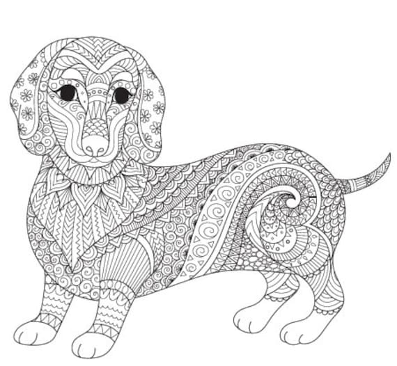 Animal Coloring Pages: 75 Animals Adult Coloring Book 75 Digital Coloring  Pages printable, PDF Download 