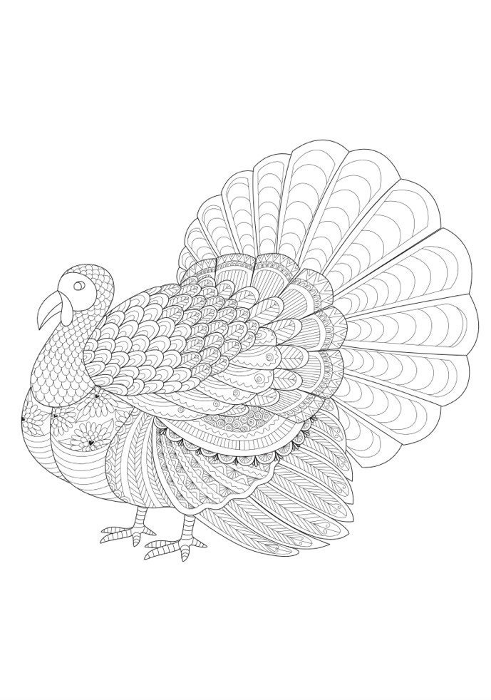 Animal Coloring Pages: 75 Animals Adult Coloring Book 75 Digital Coloring  Pages printable, PDF Download 