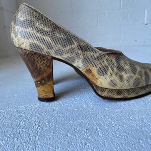 Python-hakken uit de jaren 40 afbeelding 4