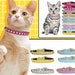 see more listings in the Pets Collar section
