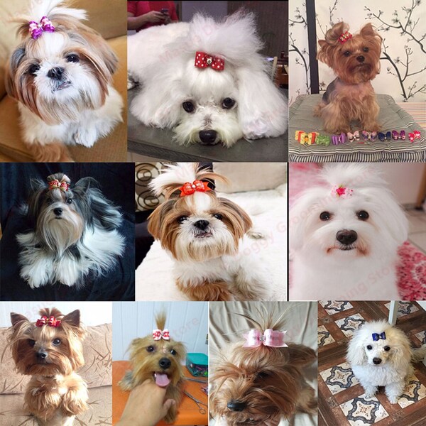 10 Pcs Dog Handmade Bows Cute Dog Puppy Girl Dog Small Dog Bows Bowknot Puppy Bows with Strong Rubber Band &  Rhinestone Pearls for Pet Hair