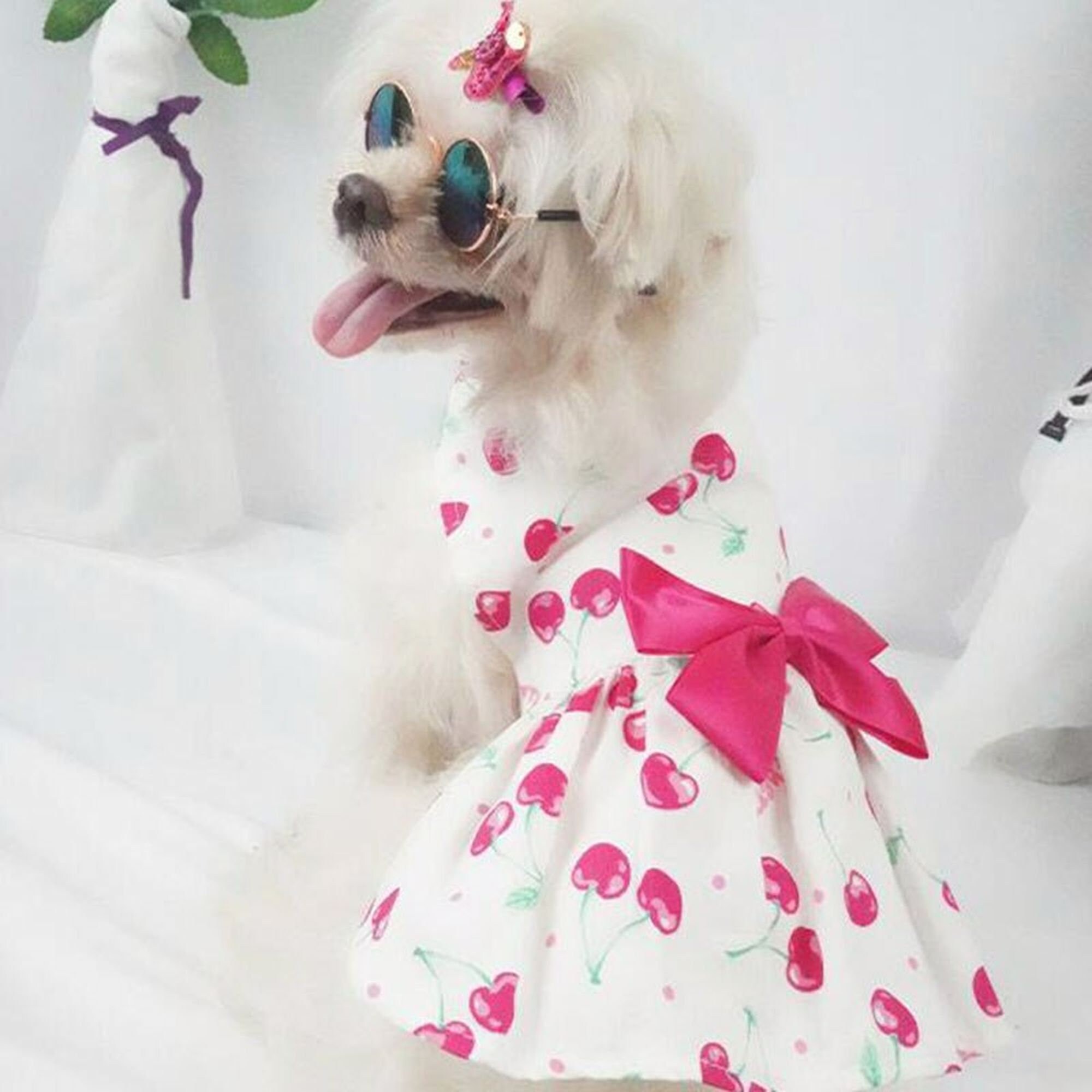 Flamingo dog dress cheap