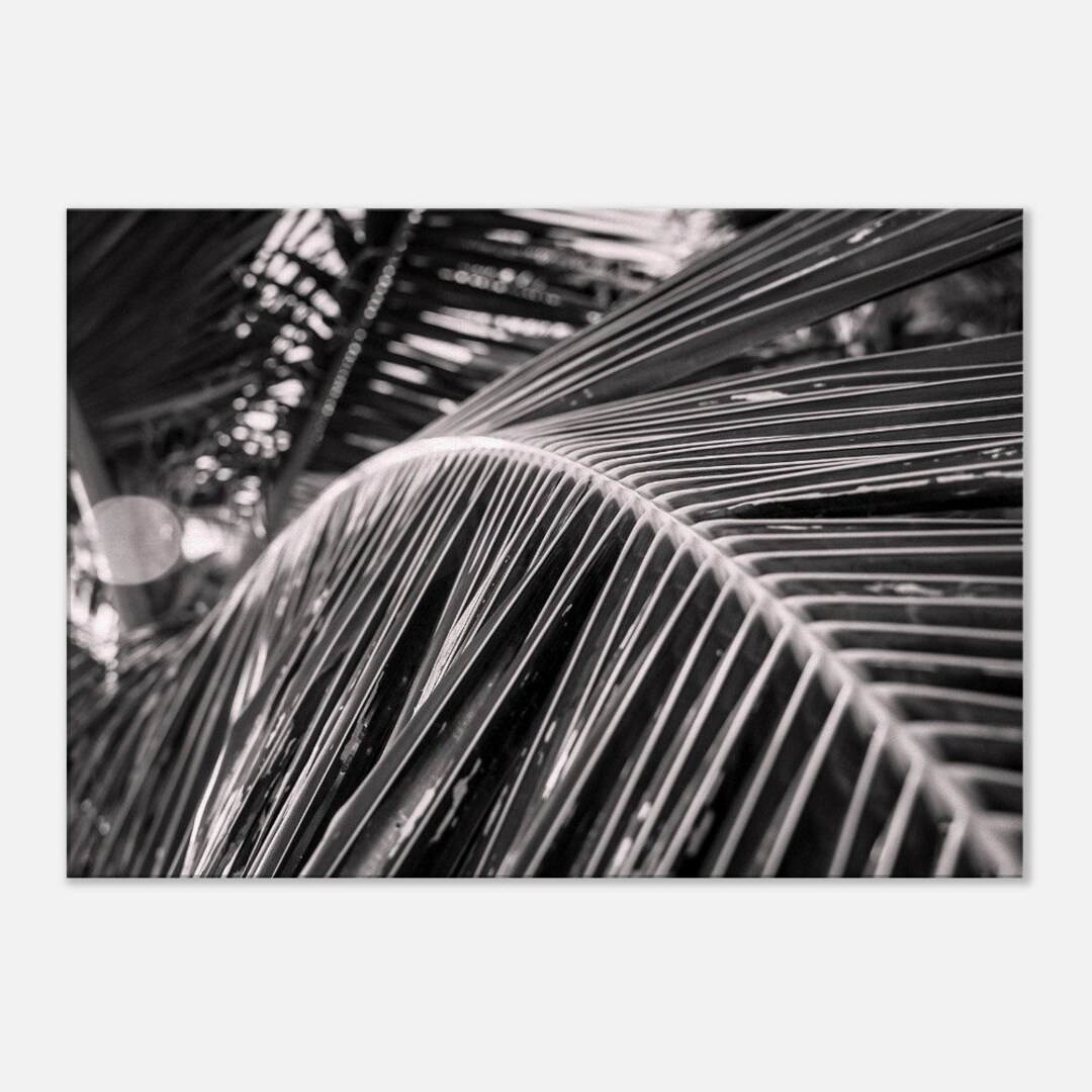 Canvas Tropical Dreaming Plam Branch Etsy