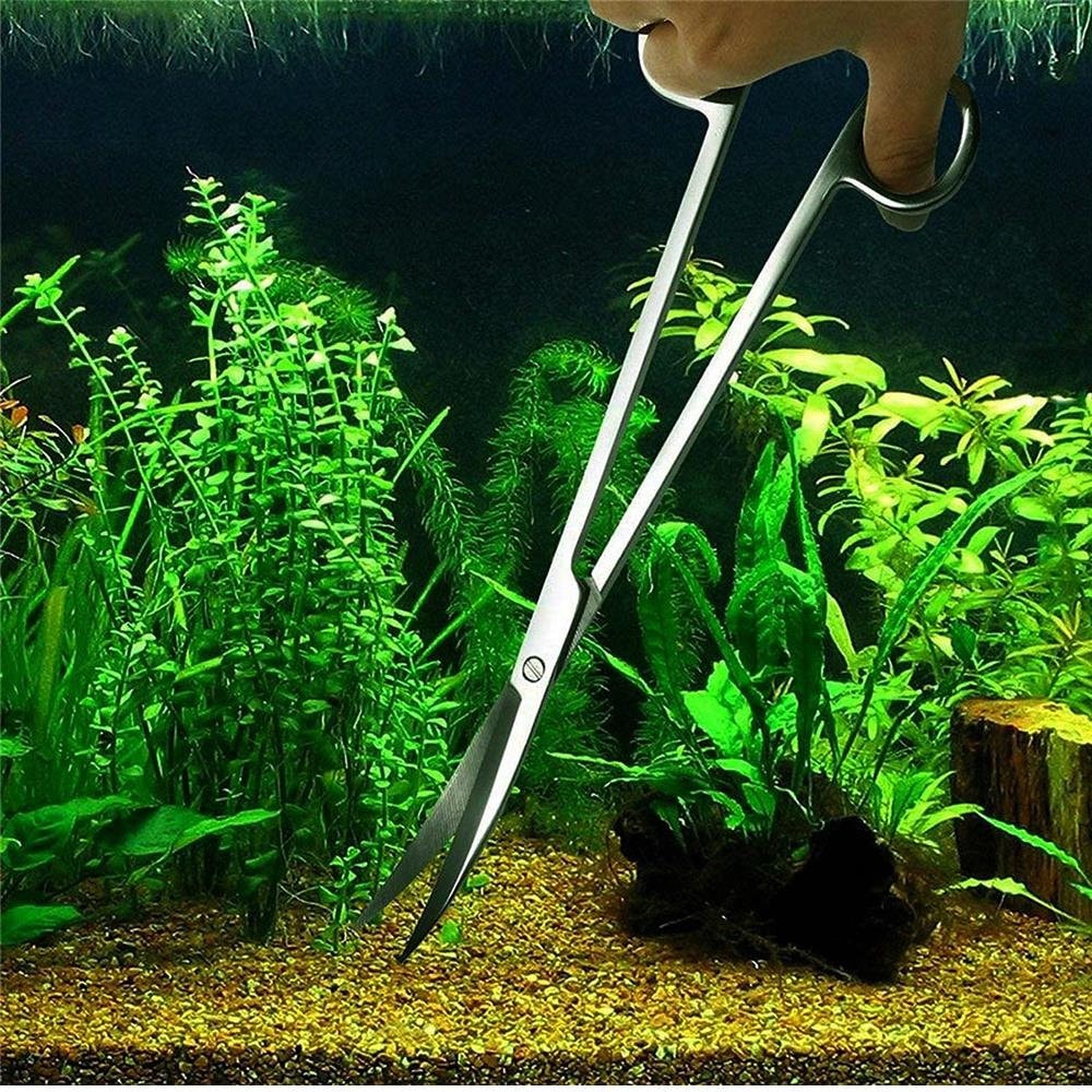 fish tank accessories needed AWXZOM Decorations (fish tank not included), aquarium coral decorations and Aquarium Artificial Plastic Plants Set, betta fish tank coral ornaments aquarium coral Aquarium Décor : Pet Supplies Our aquarium fish tank stand features side power sockets to ensure power supply PietyPet 15pcs Fish Tank Decorations: