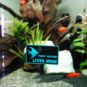 best hooks for roach fishing Introducing the NEW VMC Tungsten Roach Jig! Natural flowing marabou  creates action and mimics natural prey. The VMC tungsten jig head delivers  your presentation to the strike zone faster, with better sonar