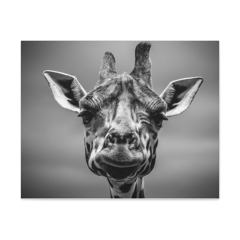 Black and White Happy Giraffe Wall Art Etsy