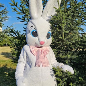 Easter Bunny Mascot Costume, Adult Mascot Costume, Party Mascot Costume, Event Mascot Costume, Birthday Party Costume, Luxury Mascot Costume