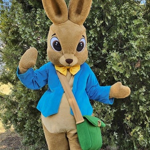 Easter Bunny Mascot Costume, Adult Mascot Costume, Party Mascot Costume, Event Mascot Costume, Birthday Party Costume, Luxury Mascot Costume