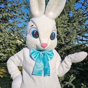 Easter Bunny Mascot Costume, Adult Mascot Costume, Party Mascot Costume, Event Mascot Costume, Birthday Party Costume, Luxury Mascot Costume