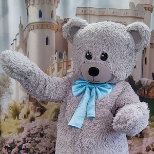 Cute Bear Mascot Costume, Adult Mascot Costume, Party Mascot Costume, Event Mascot Costume, Birthday Party Costume, Luxury Mascot Costume