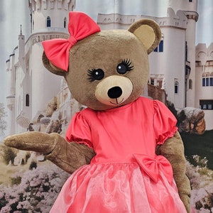 Love Bear Mascot Costume, Adult Mascot Costume, Party Mascot Costume, Event Mascot Costume, Birthday Party Costume, Valentine&#39;s day
