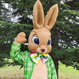 Easter Bunny Mascot Costume, Adult Mascot Costume, Party Mascot Costume, Event Mascot Costume, Birthday Party Costume, Luxury Mascot Costume