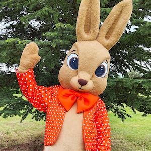 Easter Bunny Mascot Costume, Adult Mascot Costume, Party Mascot Costume, Event Mascot Costume, Birthday Party Costume, Luxury Mascot Costume