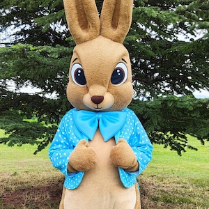 Easter Bunny Mascot Costume, Adult Mascot Costume, Party Mascot Costume, Event Mascot Costume, Birthday Party Costume, Luxury Mascot Costume