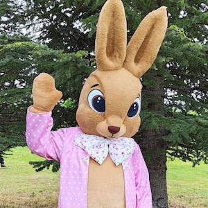 Easter Bunny Mascot Costume, Adult Mascot Costume, Party Mascot Costume, Event Mascot Costume, Birthday Party Costume, Luxury Mascot Costume