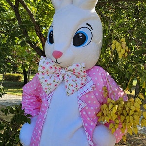 Easter Bunny Mascot Costume, Adult Mascot Costume, Party Mascot Costume, Event Mascot Costume, Birthday Party Costume, Luxury Mascot Costume