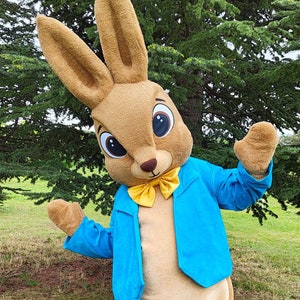Easter Bunny Mascot Costume, Adult Mascot Costume, Party Mascot Costume, Event Mascot Costume, Birthday Party Costume, Luxury Mascot Costume