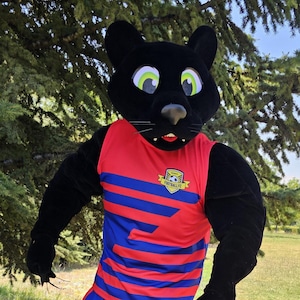 Black Panther Mascot Costume, Adult Mascot Costume, Party Mascot Costume, Event Mascot Costume, Birthday Party Costume, Luxury Costume