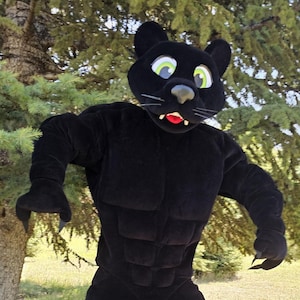 Black Panther Mascot Costume, Adult Mascot Costume, Party Mascot Costume, Event Mascot Costume, Birthday Party Costume, Luxury Costume