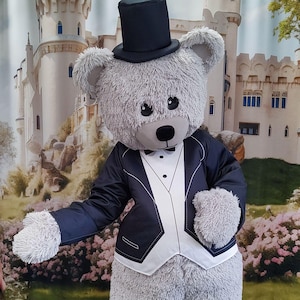 Cute Bear Mascot Costume, Sonic the Hedgehog, Party Mascot Costume, Event Mascot Costume, Birthday Party Costume, Luxury Mascot Costume
