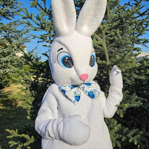 Easter Bunny Mascot Costume, Adult Mascot Costume, Party Mascot Costume, Event Mascot Costume, Birthday Party Costume, Luxury Mascot Costume
