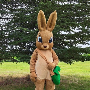 Easter Bunny Mascot Costume, Adult Mascot Costume, Party Mascot Costume, Event Mascot Costume, Birthday Party Costume, Luxury Mascot Costume