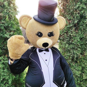 Mr. Bear Mascot Costume, Adult Mascot Costume, Party Mascot Costume, Event Mascot Costume, Birthday Party Costume, Luxury Mascot Costume