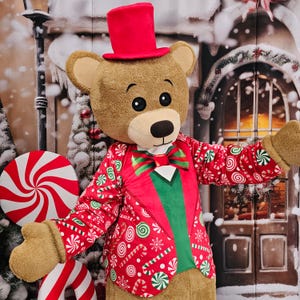 Christmas Bear Mascot Costume, Adult Mascot Costume, Party Mascot Costume, Event Mascot Costume, Birthday Party Costume, Luxury