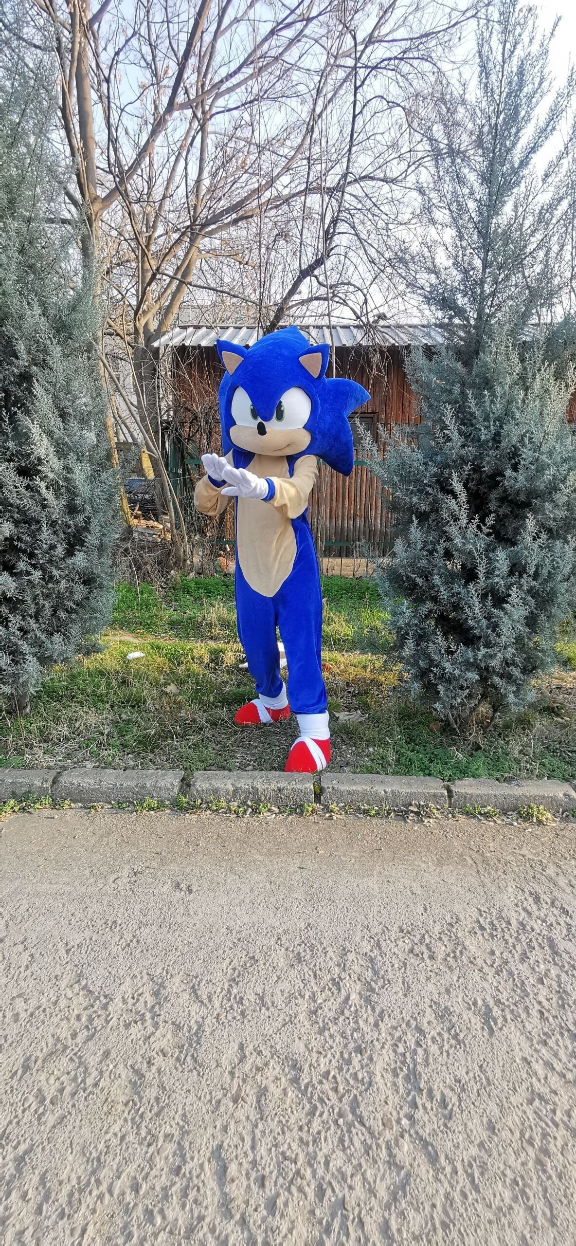 Disguise Fantasia Sonic 2 para adultos do filme Sonic, Conforme