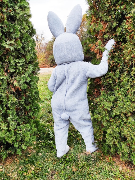 Costume de lapin de Pâques, Mascotte de lapin de Pâques sur tout le corps, Homme