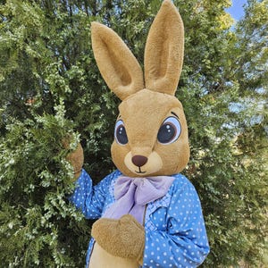 GOLD Easter Bunny Mascot Costume, Adult Mascot Costume, Party Mascot Costume, Event Mascot Costume, Birthday Party Costume, Luxury Mascot