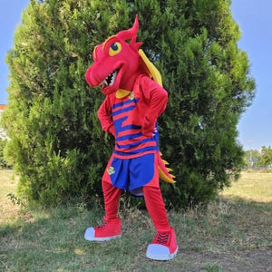 My Dragon Mascot Costume, Adult Mascot Costume, Party Mascot Costume, Event Mascot Costume, Birthday Party Costume, Luxury Costume